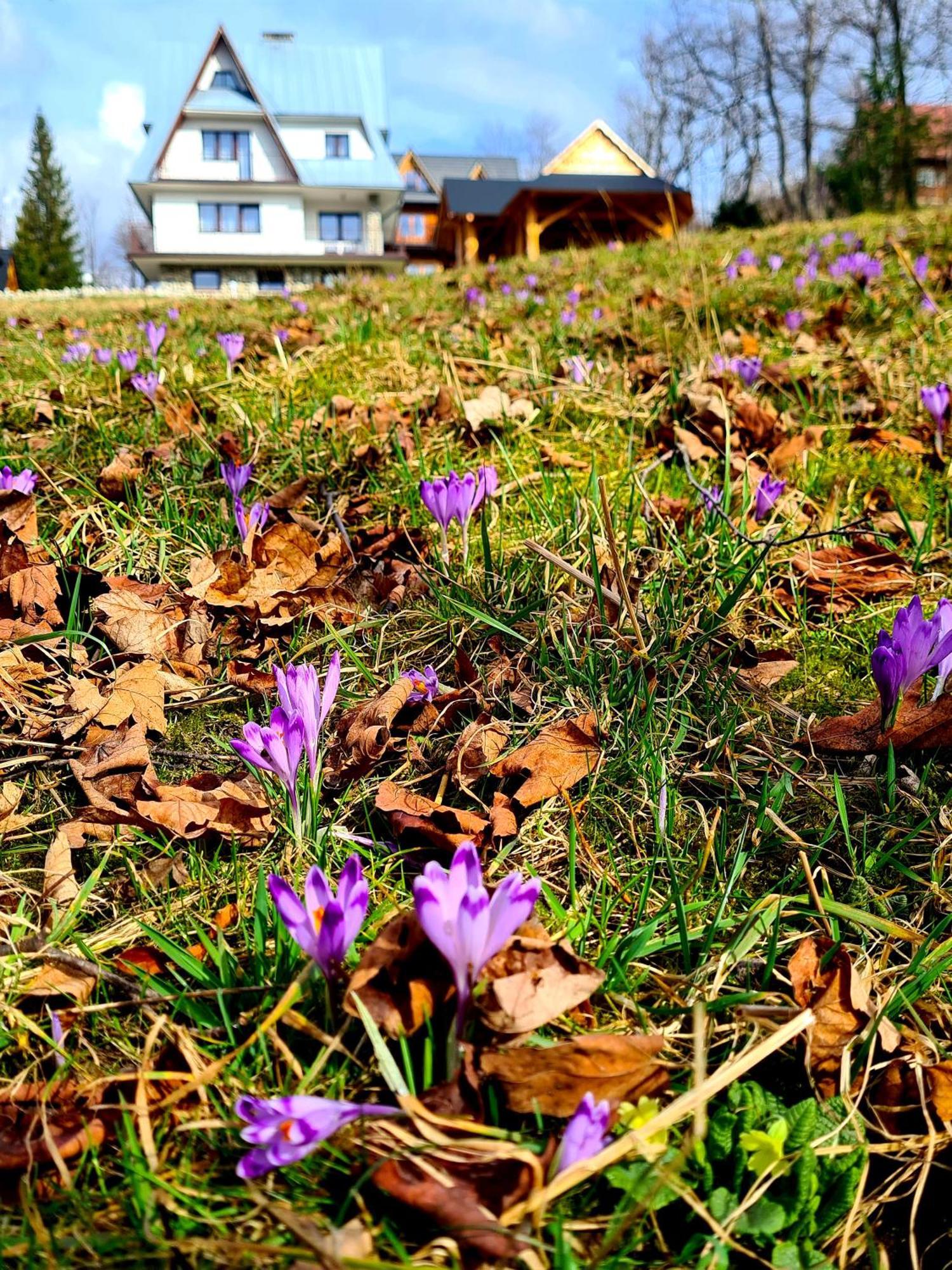 Apartamenty Skalna Chata Zakopane Exterior foto